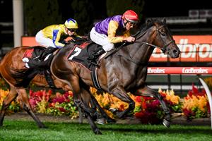 FILLY FLAGS OAKS INTENTION WITH STRONG GROUP WIN